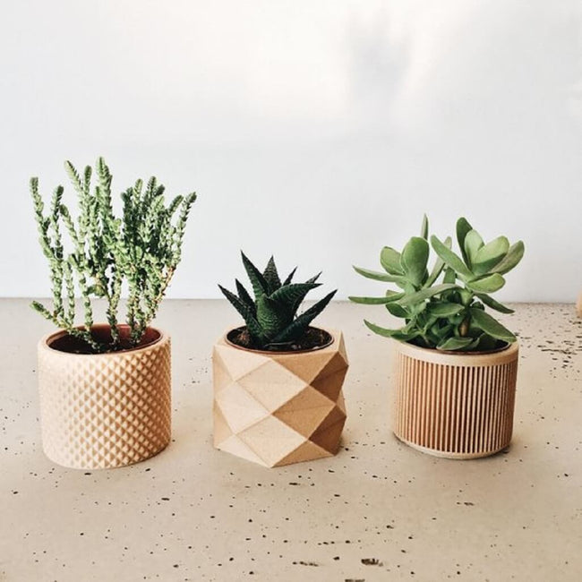 Freecof Product Sample